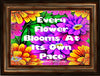 TUMBLER Full Wrap Sublimation Digital Graphic Design Vibrant Floral 4 Faith Design Download EVERY FLOWER BLOOMS AT ITS OWN PACE SVG-PNG Patio Porch Decor Gift Picnic Crafters Delight {{ JAMsCraftCloset }}