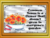 TUMBLER Full Wrap Sublimation Digital Graphic Design FROM BUNDLE 1 FUNNY Design Download COMMON SENSE IS A FLOWER SVG-PNG Patio Porch Home Decor Gift Crafters Delight {{ JAMsCraftCloset }}