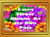 TUMBLER Full Wrap Sublimation Digital Graphic Design Vibrant Floral 4 Faith Design Download EVERY FLOWER BLOOMS AT ITS OWN PACE SVG-PNG Patio Porch Decor Gift Picnic Crafters Delight {{ JAMsCraftCloset }}