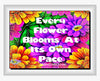 BUNDLE TUMBLER Full Wrap VIBRANT FLORAL Sayings Quotes Graphic Design Downloads SVG PNG JPEG Files Sublimation VIBRANT FLORAL Design Crafters Delight {{ JAMsCraftCloset }}