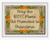 TUMBLER Full Wrap Sublimation Digital Graphic Design MOM and GRANDMA DESIGNS FROM BUNDLE 1 Download BEST MOMS PROMOTED TO GRANDMA SVG-PNG Home Decor Gift Mothers Day Crafters Delight {{ JAMsCraftCloset }}