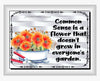 TUMBLER Full Wrap Sublimation Digital Graphic Design FROM BUNDLE 1 FUNNY Design Download COMMON SENSE IS A FLOWER SVG-PNG Patio Porch Home Decor Gift Crafters Delight {{ JAMsCraftCloset }}