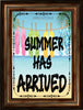 TUMBLER Full Wrap Sublimation Digital Graphic Design Download SUMMER HAS ARRIVED SVG-PNG Kitchen Patio Porch Decor Gift Picnic Crafters Delight {{ JAMsCraftCloset }}
