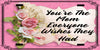 TUMBLER Full Wrap Sublimation Digital Graphic Design MOM and GRANDMA DESIGNS FROM BUNDLE 2 Download YOU ARE THE MOM EVERYONE WISHES THEY HAD SVG-PNG Home Decor Gift Mothers Day Crafters Delight {{ JAMsCraftCloset }}