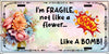 MUG Coffee Full Wrap Sublimation Funny Digital Graphic Design Download I AM FRAGILE NOT LIKE A FLOWER SVG-PNG Crafters Delight {{ JAMsCraftCloset }}