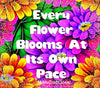 BUNDLE TUMBLER Full Wrap VIBRANT FLORAL Sayings Quotes Graphic Design Downloads SVG PNG JPEG Files Sublimation VIBRANT FLORAL Design Crafters Delight {{ JAMsCraftCloset }}