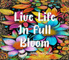 BUNDLE TUMBLER Full Wrap VIBRANT FLORAL Sayings Quotes Graphic Design Downloads SVG PNG JPEG Files Sublimation VIBRANT FLORAL Design Crafters Delight {{ JAMsCraftCloset }}