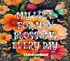 BUNDLE 3 TUMBLERS VIBRANT FLORAL Graphic Design Positive Saying Home Decor Downloads SVG PNG JPEG Files Sublimation Design Crafters Delight {{ JAMsCraftCloset }}