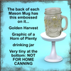 Mugs Mason Jar Drinking Jar Hand Painted Floral Aqua Yellow Purple Pink Blue Golden Harvest Unique Gift Idea {{ JAMsCraftCloset }}