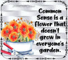 TUMBLER Full Wrap Sublimation Digital Graphic Design FROM BUNDLE 1 FUNNY Design Download COMMON SENSE IS A FLOWER SVG-PNG Patio Porch Home Decor Gift Crafters Delight {{ JAMsCraftCloset }}