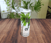 TUMBLER Full Wrap Sublimation Digital Graphic Design Download SUMMER STATE OF MIND SVG-PNG Kitchen Patio Porch Decor Gift Picnic Crafters Delight {{ JAMsCraftCloset }}