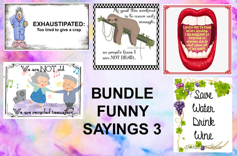 BUNDLE FUNNY SAYINGS 3 Graphic Design Downloads SVG PNG JPEG Files Sublimation Design Funny {{ JAMsCraftCloset }}