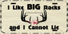 DEER License Plate Digital Graphic Design Download I LIKE BIG RACKS SVG-PNG Hunters Crafters Delight Sublimation {{ JAMsCraftCloset }}