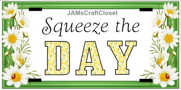 License Vanity Plate Front Plate Clever Funny Custom Plate Car Tag SQUEEZE THE DAY Sublimation on Metal Gift Idea {{ JAMsCraftCloset }}