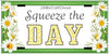 License Vanity Plate Front Plate Clever Funny Custom Plate Car Tag SQUEEZE THE DAY Sublimation on Metal Gift Idea {{ JAMsCraftCloset }}