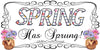 License Vanity Plate Front Plate Clever Funny Custom Plate Car Tag SPRING HAS SPRUNG Sublimation on Metal Gift Idea {{ JAMsCraftCloset }}