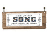 License Vanity Plate Front Plate Clever Funny Custom Plate Car Tag TAKE A SAD SONG Sublimation on Metal Gift Idea {{ JAMsCraftCloset }}
