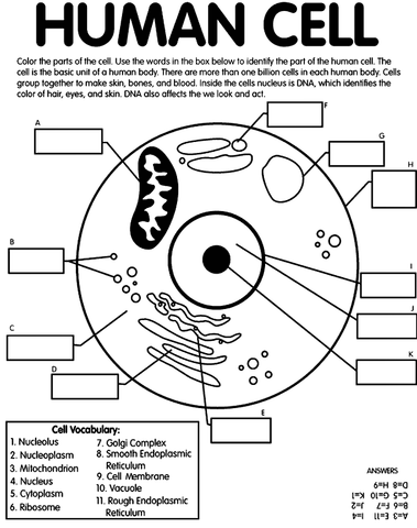 FREE Coloring Pages Science Style 18
