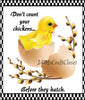 BUNDLE CHICKENS Graphic Design Downloads SVG PNG JPEG Files Sublimation Design Crafters Delight {{ JAMsCraftCloset }}