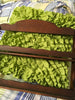 Spice Rack Vintage Wooden 13 by 15 1/2 Inches DIY Project {{ JAMsCraftCloset }}