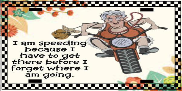 License Plate Digital Graphic Design Download I AM SPEEDING SVG-PNG-JPEG Sublimation Crafters Delight {{ JAMsCraftCloset }}
