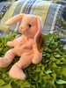TY BEANIE BABY Hoppity the PINK Bunny Birthdate April 3 1996 Collectible Gift Idea     Ty Original Beanie Baby, from The Beanie Babies Collection Condition is new clean and great - JAMsCraftCloset