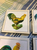 Ceramic Tile Vintage ROOSTER Kitchen Wall Art Handmade Upcycled Gift {{ JAMsCraftCloset }}