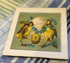 Ceramic Tile EASTER CHICKS Wall Art Handmade Upcycled Repurposed Gift Home Decor SET OF 4 {{ JAMsCraftCloset }}
