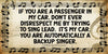License Plate Digital Graphic Design Download IF YOU ARE A PASSENGER IN MY CAR SVG-PNG-JPEG Sublimation Crafters Delight {{ JAMsCraftCloset }}