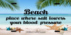 License Vanity Plate Front Plate Clever Funny Custom Plate Car Tag BEACH WHERE SALT LOWERS YOUR BP Sublimation on Metal Gift Idea {{ JAMsCraftCloset }}