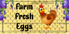 License Plate Digital Graphic Design Download FARM FRESH EGGS SVG-PNG-JPEG Sublimation Crafters Delight {{ JAMsCraftCloset }}