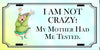 License Vanity Plate Front Plate Clever Funny Custom Plate Car Tag I AM NOT CRAZY Sublimation on Metal Gift Idea {{ JAMsCraftCloset }}