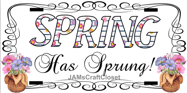 License Vanity Plate Front Plate Clever Funny Custom Plate Car Tag SPRING HAS SPRUNG Sublimation on Metal Gift Idea {{ JAMsCraftCloset }}