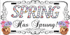 License Vanity Plate Front Plate Clever Funny Custom Plate Car Tag SPRING HAS SPRUNG Sublimation on Metal Gift Idea {{ JAMsCraftCloset }}
