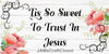 License Vanity Plate Front Plate Clever Funny Custom Plate Car Tag TIS SO SWEET TO TRUST IN JESUS Sublimation on Metal Gift Idea {{ JAMsCraftCloset }}