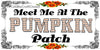 License Vanity Plate Front Plate Clever Funny Custom Plate Car Tag MEET ME AT THE PUMPKIN PATCH Sublimation on Metal Gift Idea {{ JAMsCraftCloset }}