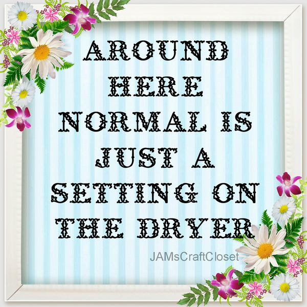 NORMAL SETTING ON THE DRYER Digital Graphic SVG-PNG-JPEG Download Crafters Delight {{ JAMsCraftCloset }}