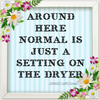 NORMAL SETTING ON THE DRYER Digital Graphic SVG-PNG-JPEG Download Crafters Delight {{ JAMsCraftCloset }}