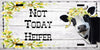 License Plate Digital Graphic Design Download NOT TODAY HEIFER SVG-PNG-JPEG Sublimation Crafters Delight {{ JAMsCraftCloset }}