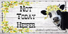 License Plate Digital Graphic Design Download NOT TODAY HEIFER SVG-PNG-JPEG Sublimation Crafters Delight {{ JAMsCraftCloset }}