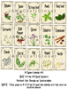 SPICE LABELS 2 Digital Graphic Design Downloads SVG PNG JPEG Files Decal Waterslide Sublimation Design Crafters Delight {{ JAMsCraftCloset }}