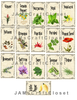 SPICE LABELS 2 Digital Graphic Design Downloads SVG PNG JPEG Files Decal Waterslide Sublimation Design Crafters Delight {{ JAMsCraftCloset }}