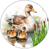 ROUND Digital Graphic Design MAMA DUCK AND BABBIES Decor Lake Scene With Animals First Home Sublimation Decoupage PNG SVG Country Farmhouse Home Decor Wall Art Shelf Sitter Gift Crafters Delight - JAMsCraftCloset