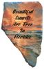 Antique West Virginia Roof Decoupaged BEAUTIFUL SUNSETS ARE FREE IN FLORIDA Beach Theme Handmade Wall Art Unique Beach Lake House Gift - JAMsCraftCloset