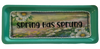 TRAY GREEN Plastic Rectangle Decoupaged Hand Painted Upcycled Repurposed Wall Art SPRING HAS SPRUNG Home Decor Decor Wall Art Gift - JAMsCraftCloset