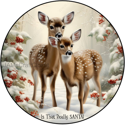 ROUND Digital Graphic Design DEER - IS THAT REALLY SANTA - &nbsp;CHRISTMAS DESIGN PNG-JPEG-PDF-SVG-Decoupage-Sublimation Design Graphic Country Farmhouse Home Decor HOLIDAY Decor Gift Crafters Delight - JAMsCraftCloset