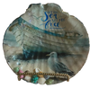 LARGE SCALLOP SEASHELL Aqua Teal LET THE SEA SET YOU FREE- BEACH COASTAL DECOR Wall Art Handmade Hand Painted DECOUPAGED Repurposed Upcycled Gift - JAMsCraftCloset
