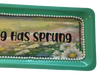TRAY GREEN Plastic Rectangle Decoupaged Hand Painted Upcycled Repurposed Wall Art SPRING HAS SPRUNG Home Decor Decor Wall Art Gift - JAMsCraftCloset