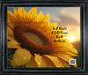DIGITAL RECTANGLE Graphic Design IN A WORLD FULL OF ROSES BE A SUNFLOWER - PNG SVG JPEG PDF Lake House Sign Farmhouse Country Cabin Wall Art Shelf Sitter Home Decor Gift Crafters Delight - JAMsCraftCloset