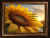 DIGITAL RECTANGLE Graphic Design IN A WORLD FULL OF ROSES BE A SUNFLOWER - PNG SVG JPEG PDF Lake House Sign Farmhouse Country Cabin Wall Art Shelf Sitter Home Decor Gift Crafters Delight - JAMsCraftCloset